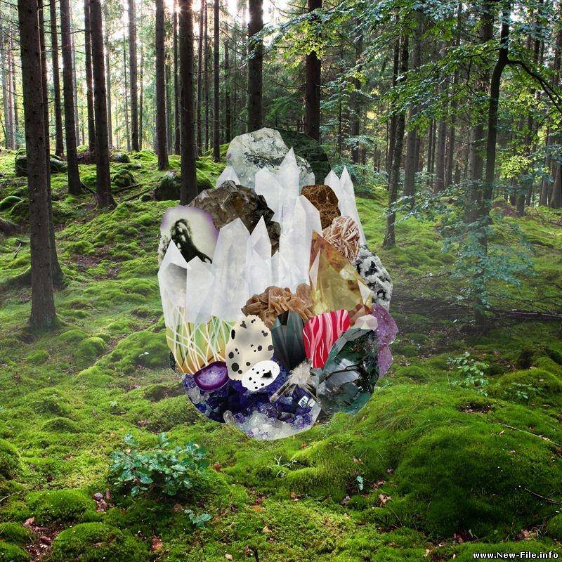 Clogs 2010 Veil Waltz