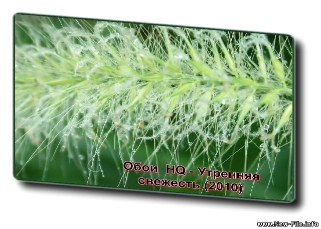 Обои  HQ - Утренняя свежесть (2010)