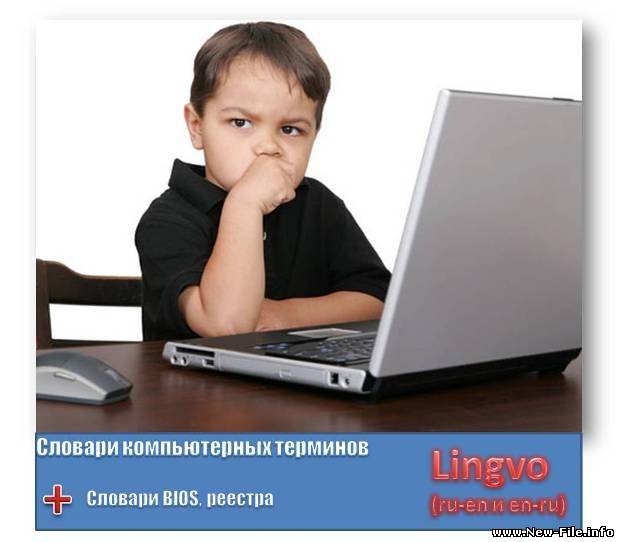 Справочник компьютерных терминов + LSD Lingvo