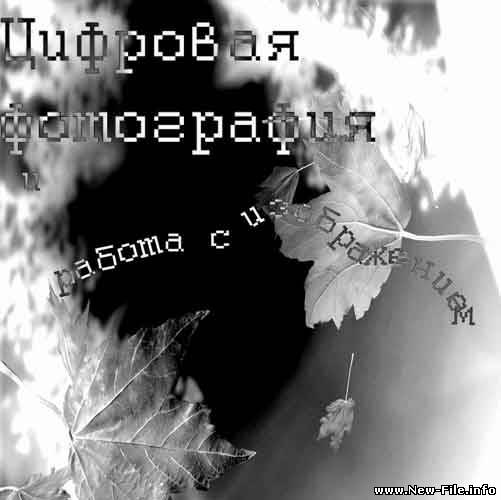 Уроки по цифровой фотографии