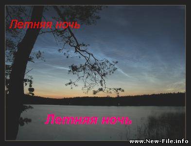Группа Лeтняя нoчь