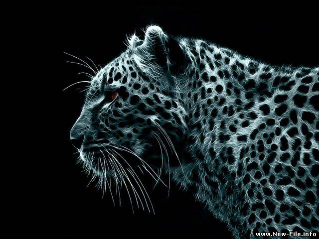 Большие коллекции обоев