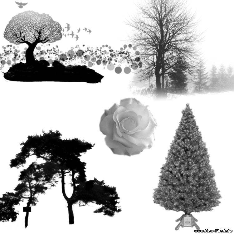 Кисти растительного мира для фотошопа