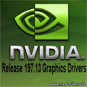 nVidia GeForce/ION Driver 197.13 WHQL