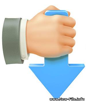 Internet Download Manager version 5.8.1.1197 - April 15, 2010