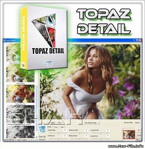 Topaz Detail 2.0.3