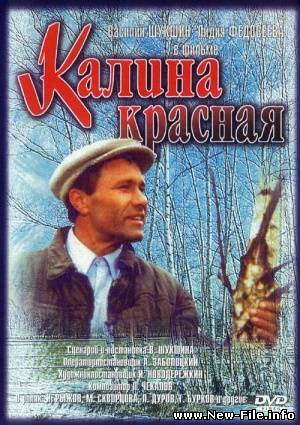 Калина красная