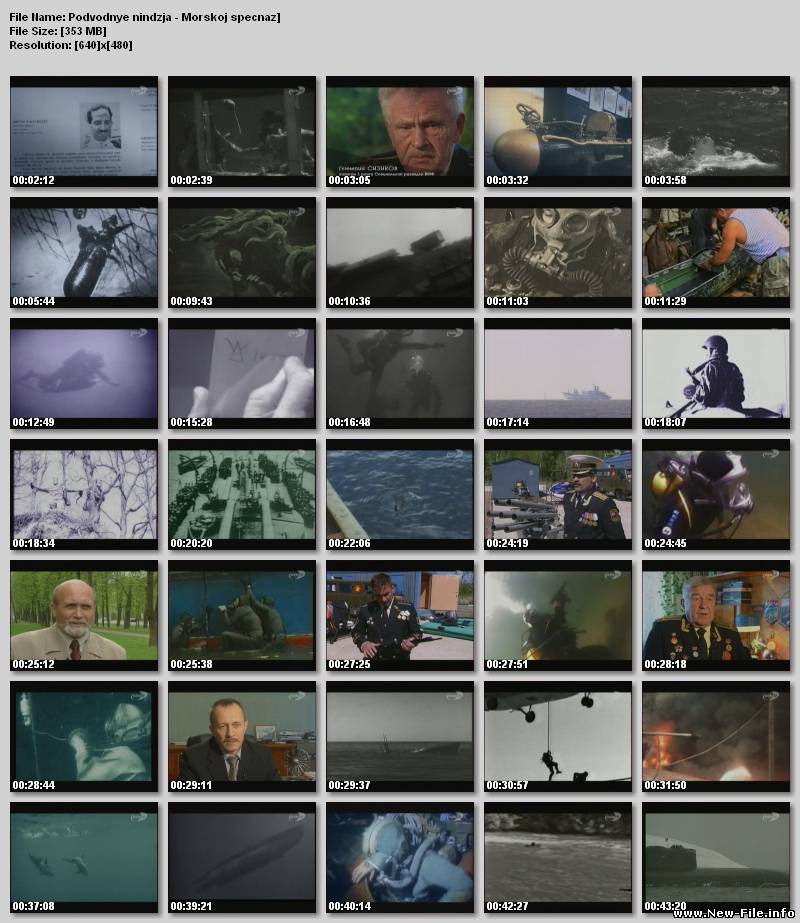 Подводные ниндзя