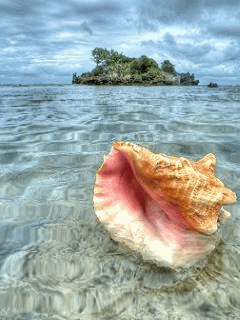 Заставки анимированные на мобильник-4