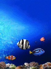 Заставки анимированные на мобильник-2