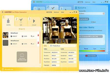 Hamster Free Video Converter 1.0.0.4 Rus