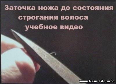 Заточка ножа до состояния строгания волоса (2010)