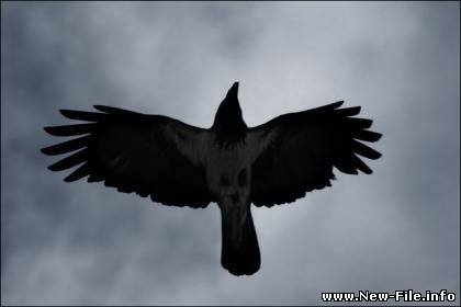 Яхонт “Чёрный ворон” (видеоклип)