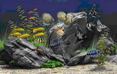 Dream Aquarium Screensaver 1.24 Portable