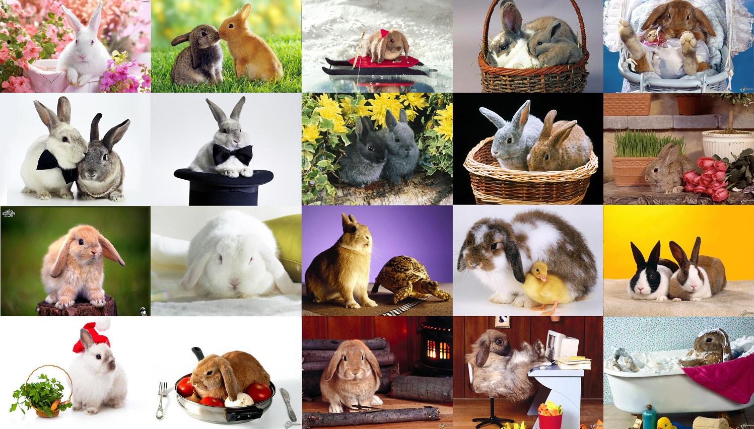 Обои Новогодние кролики (2011)