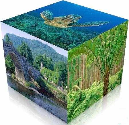 Красочные обои высокого качества на рабочий стол