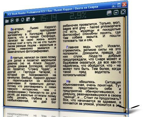 ICE Book Reader Pro ver.9.0.5 (2011)