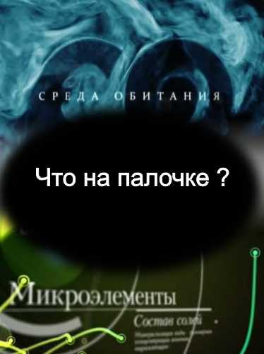 Среда обитания. Что на палочке? (08.06.2011) SATRip