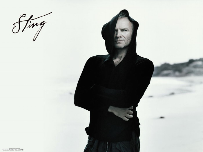 Sting - Shape of my heart скачать