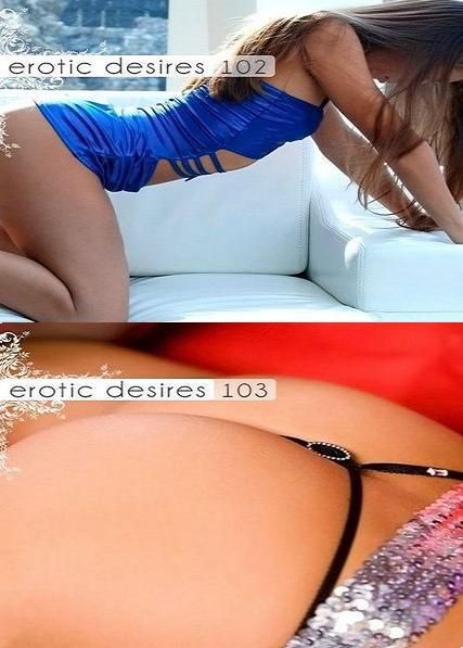 VA -  Erotic Desires Volume 102 - 103 (2011)