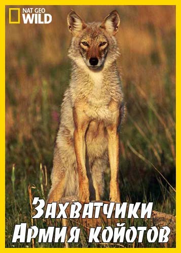 Захватчики. Армия койотов / The Invaders. Coyote Army (2011) SATRip