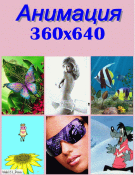 Анимация 360x640