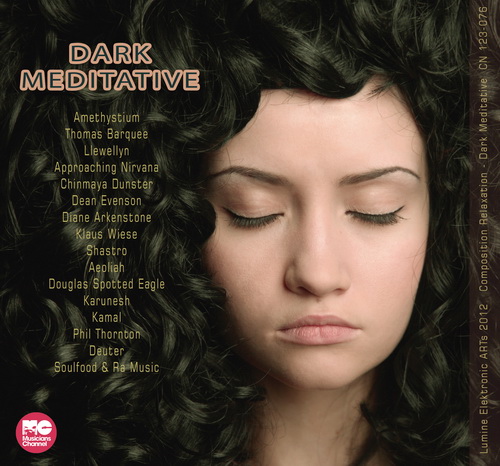 Dark Meditative (2012)