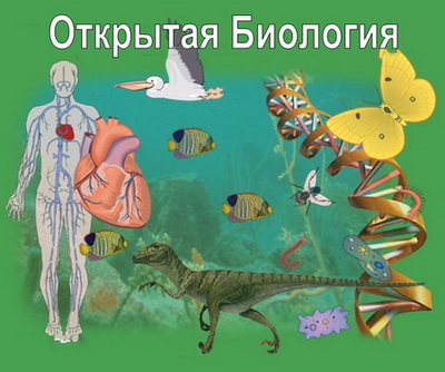 Открытая биология. Интерактивный курс