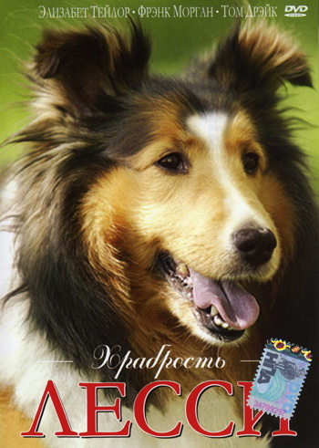 Храбрость Лесси / Courage of Lassie (Фред М. Уилкокс) [1946 г., Приключения, семейный, DVDRip]