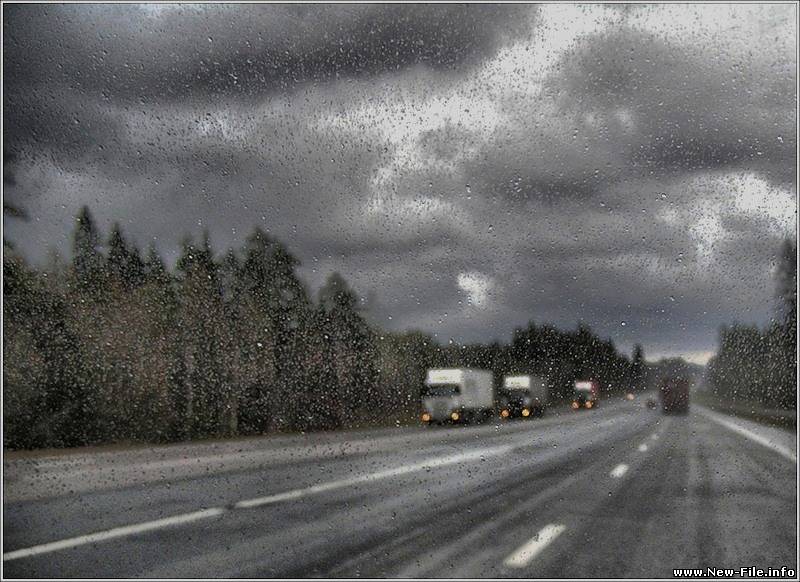 Алиса - Трасса Е95