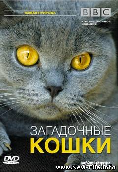ВВС. Эти Загадочные Кошки. Скачать
