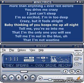 Minilyrics - небольшая надстройка над популярными прогрывателями позволяющая видеть текст любых песен которые на данный момент проигрываются