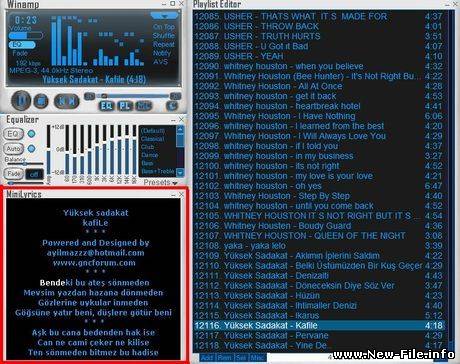 Minilyrics - небольшая надстройка над популярными прогрывателями позволяющая видеть текст любых песен которые на данный момент проигрываются