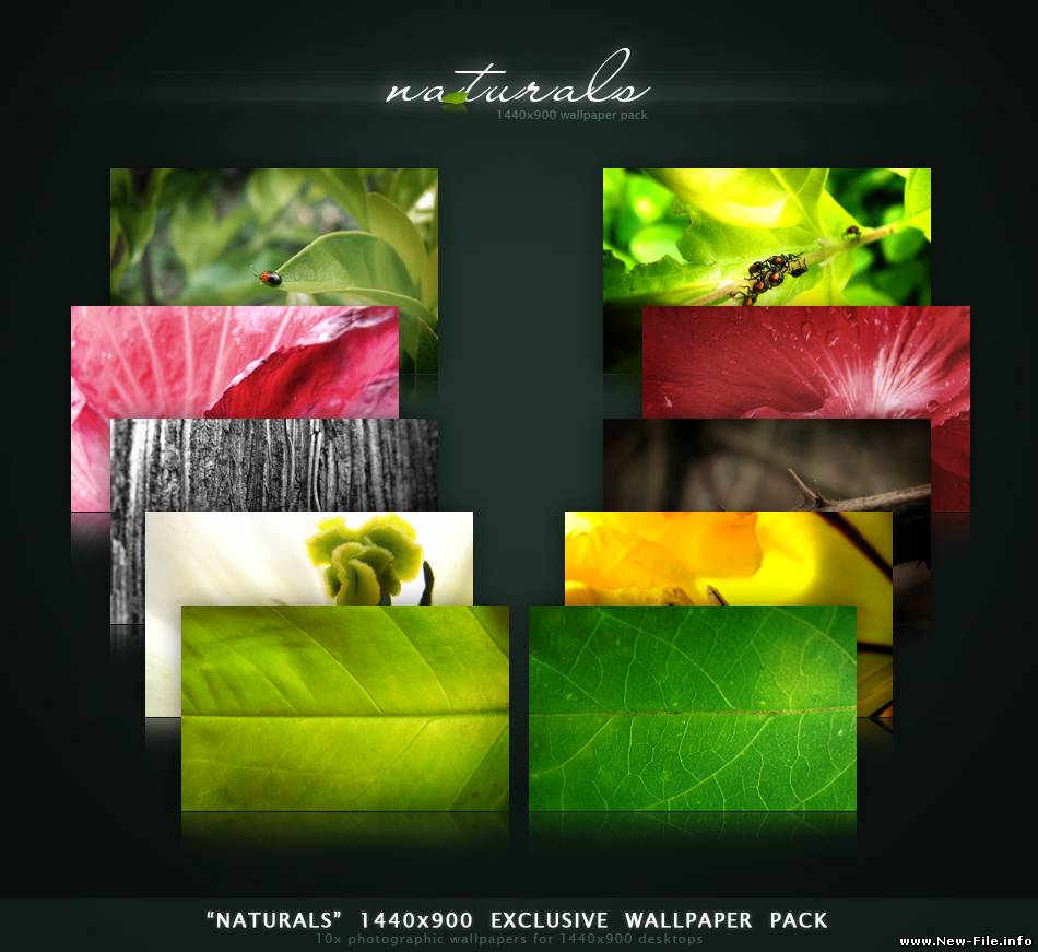 Красивейшие обои