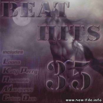 VA - Beat Hits Vol.35 (2008)