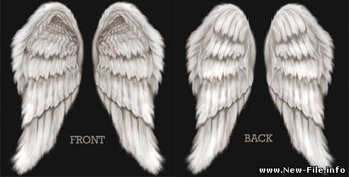 Шаблон для фотошопа - Крылья ангела