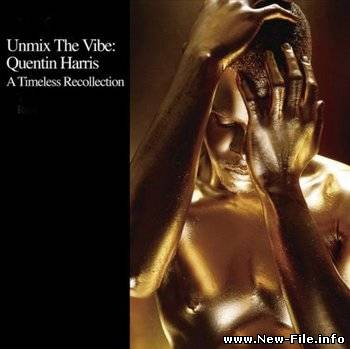 Unmix The Vibe (2008)