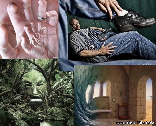 102 Optical Illusions