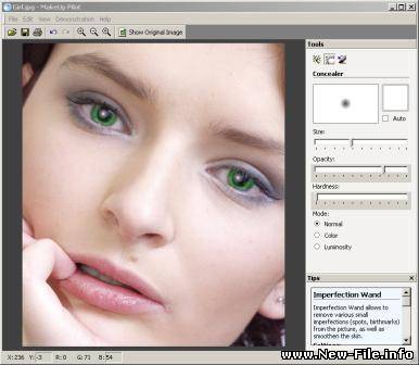 Makeup Pilot 3.23 Portable