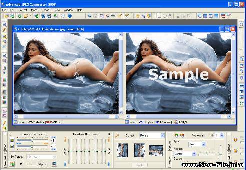 Advanced JPEG Compressor 2008 5.1.84 - Программа для сжатия изображений в формате JPEG. Возможно сжатие до 50% без потери качества