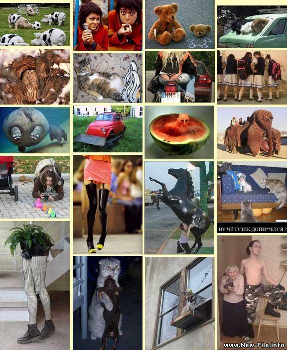 Фотоприколы