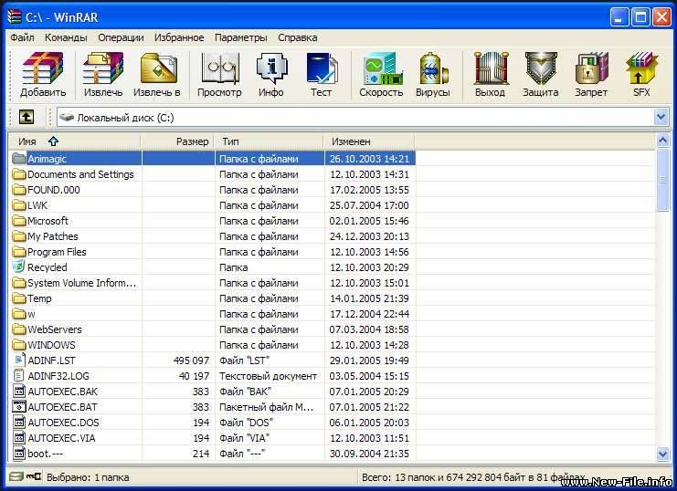 WinRAR - Полная Русская Версия с Темами (2009)