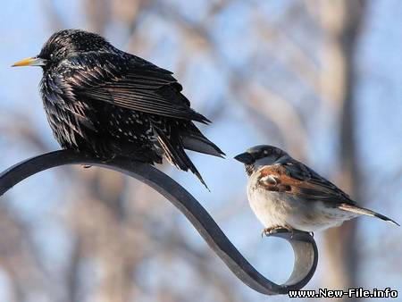 Мир в Фотографии - World In Photo