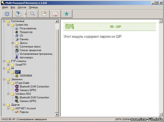 Multi Password Recovery 1.1.2 Portable Rus
